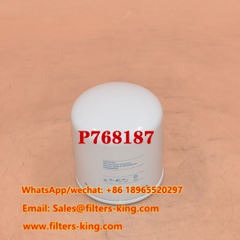 P768187 Kühlmittelfilter