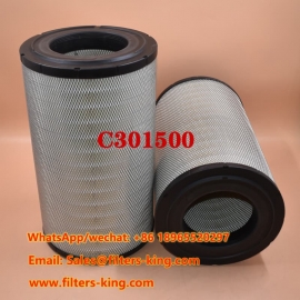 C301500 Luftfilter