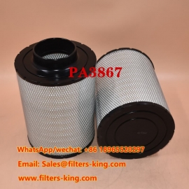 PA3867 Luftfilter