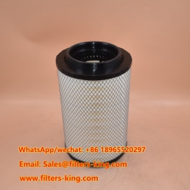 Luftfilter C25860/1