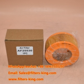 Luftfilter AF25530