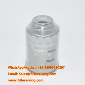 1770A053 Kraftstofffilter