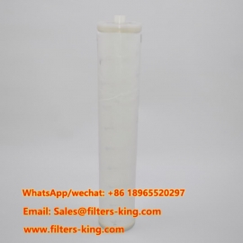 CSPHEW1-24BXH  Koaleszenz-Filterpatrone