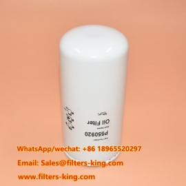P550920 Ölfilter