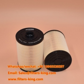 YN21P01157R100J1L Kraftstofffilter