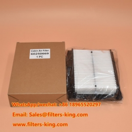 60250669 Innenraumluftfilter