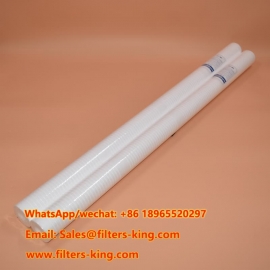 RT40Y16G20CA PP Sedimentfilter