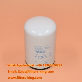 P550867 Kühlmittelfilter
