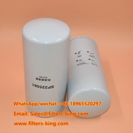 SP225581 Ölfilter