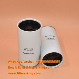 RP012031A0 Kraftstoff-Vorfilter