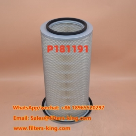 P181191 Luftfilter