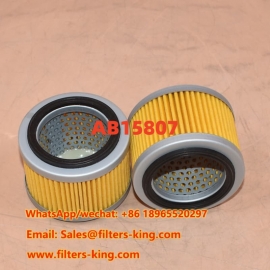 AB15807 Entlüftungsfilter