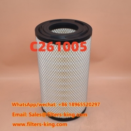 Luftfilter C261005
