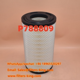 P788809 Luftfilter
