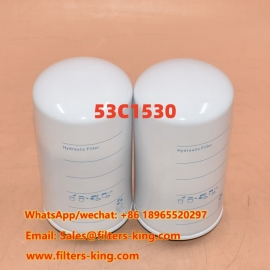 Hydraulikfilter 53C1530
