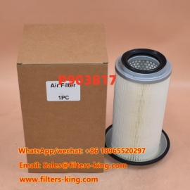 Luftfilter P903817