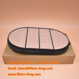 Luftfilter P607557